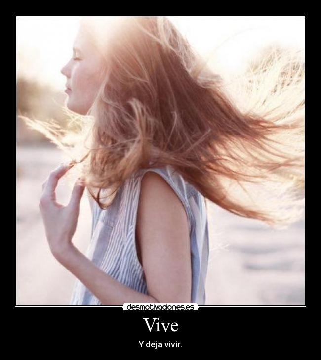 Vive -