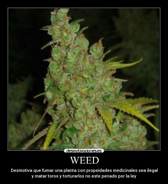 WEED -