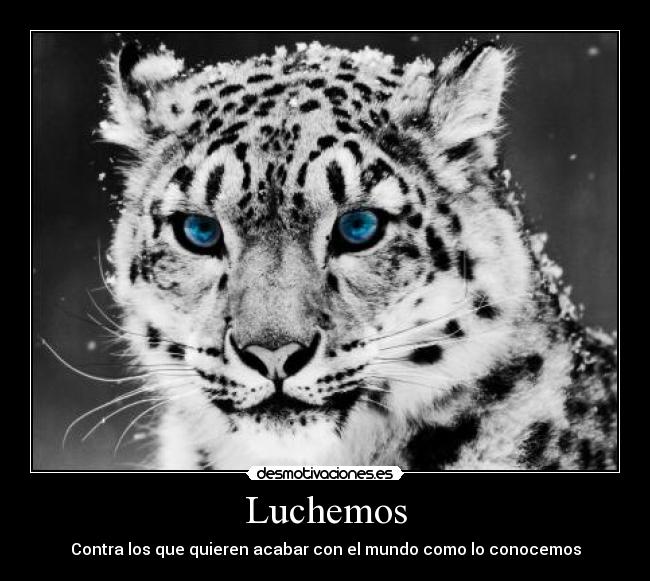 Luchemos - Contra los que quieren acabar con el mundo como lo conocemos