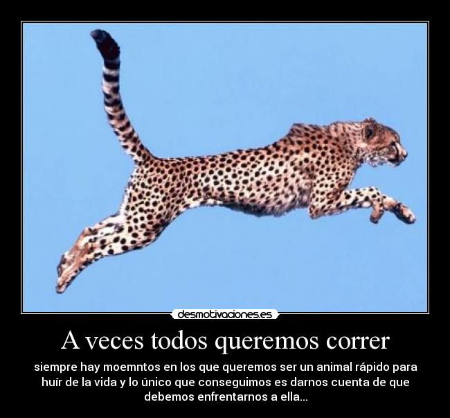 A veces todos queremos correr -