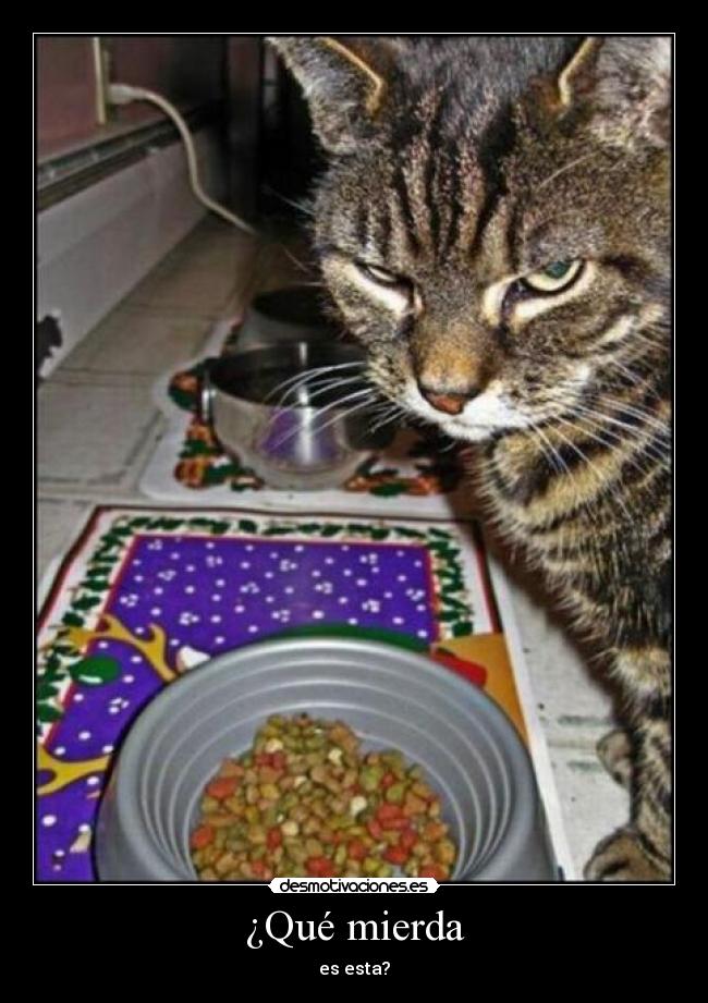 ¿Qué mierda -