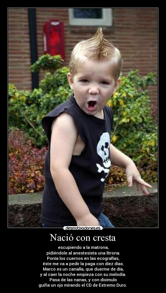 Nació con cresta -