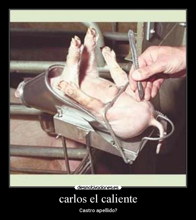 carlos el caliente - 