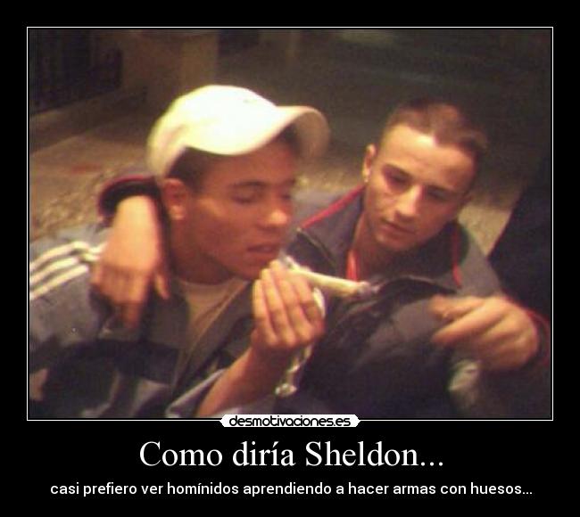 carteles canis desmotivaciones