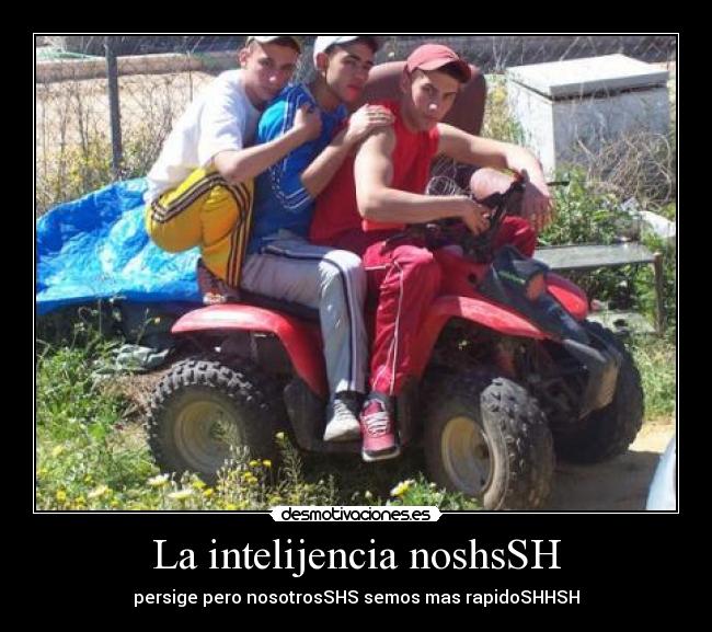 La intelijencia noshsSH -