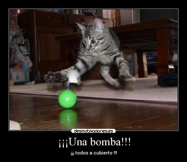 ¡¡¡Una bomba!!! - 