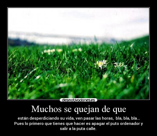 Muchos se quejan de que - están desperdiciando su vida, ven pasar las horas, bla, bla, bla...
Pues lo primero que tienes que hacer es apagar el puto ordenador y
salir a la puta calle.