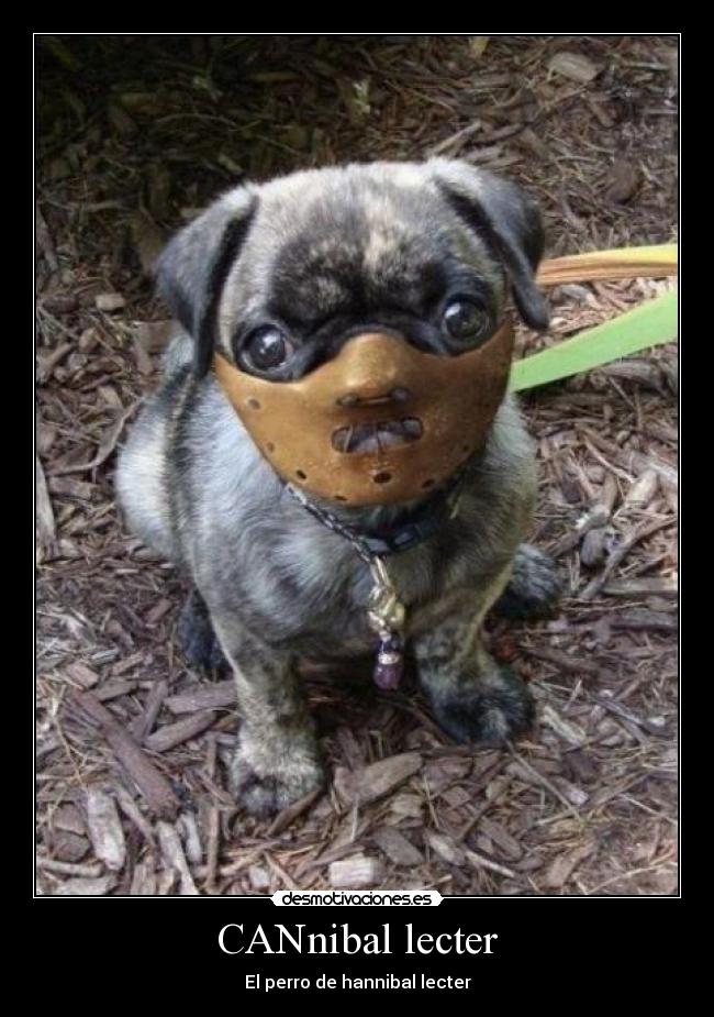 CANnibal lecter - 