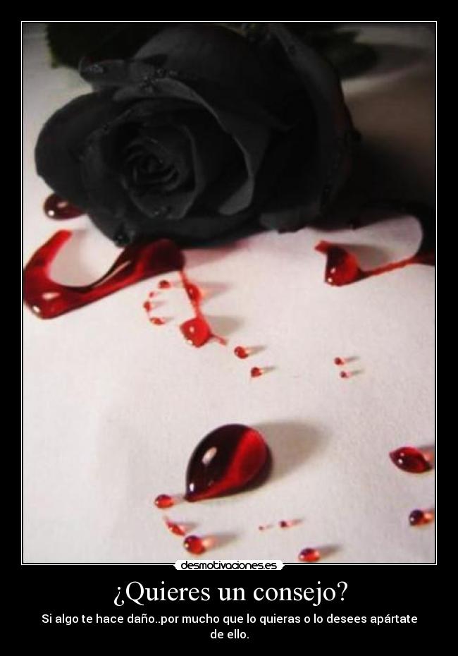 ¿Quieres un consejo? - 
