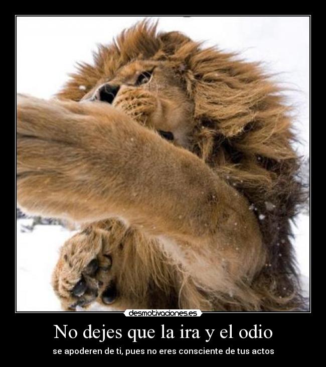 No dejes que la ira y el odio - se apoderen de ti, pues no eres consciente de tus actos