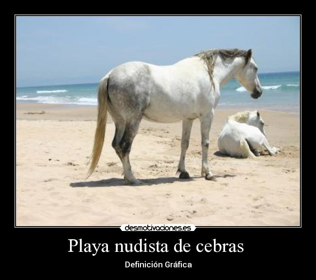 Playa nudista de cebras  - 