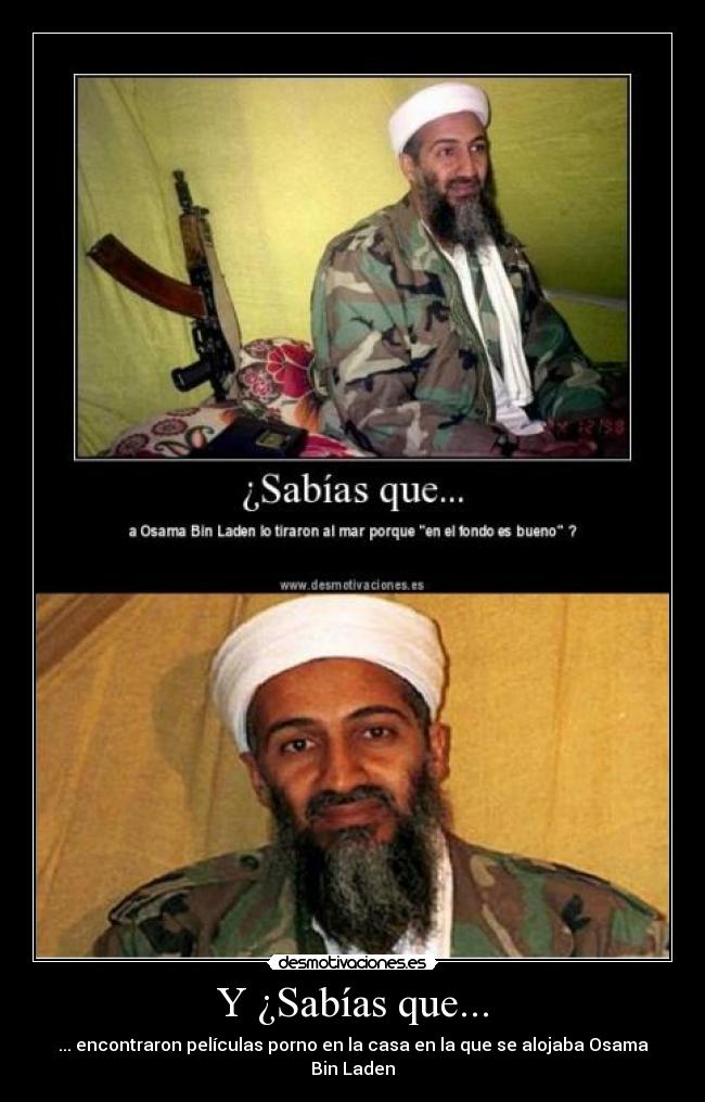 Y ¿Sabías que... - ... encontraron películas porno en la casa en la que se alojaba Osama Bin Laden