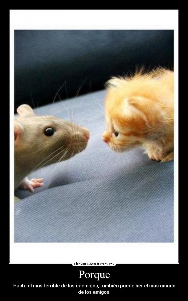 Porque - Hasta el mas terrible de los enemigos, también puede ser el mas amado de los amigos.