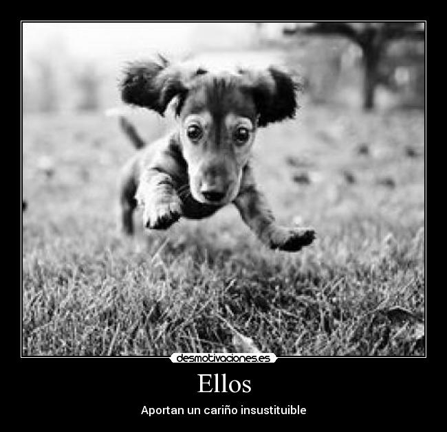 Ellos - 