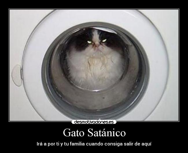 Gato Satánico - 