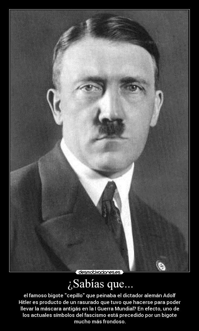 carteles adolf hitler adolf hitler bigote nazi alemania desmotivaciones