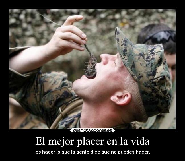 carteles vida militar placer vida desmotivaciones