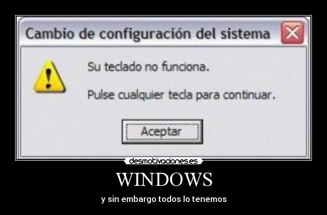WINDOWS -