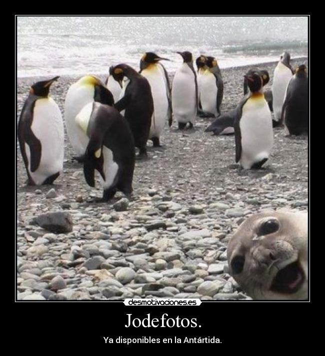 Jodefotos. -