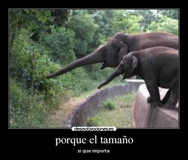 porque el tamaño -
