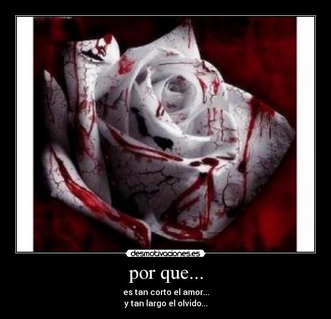 por que... - es tan corto el amor...
y tan largo el olvido...
