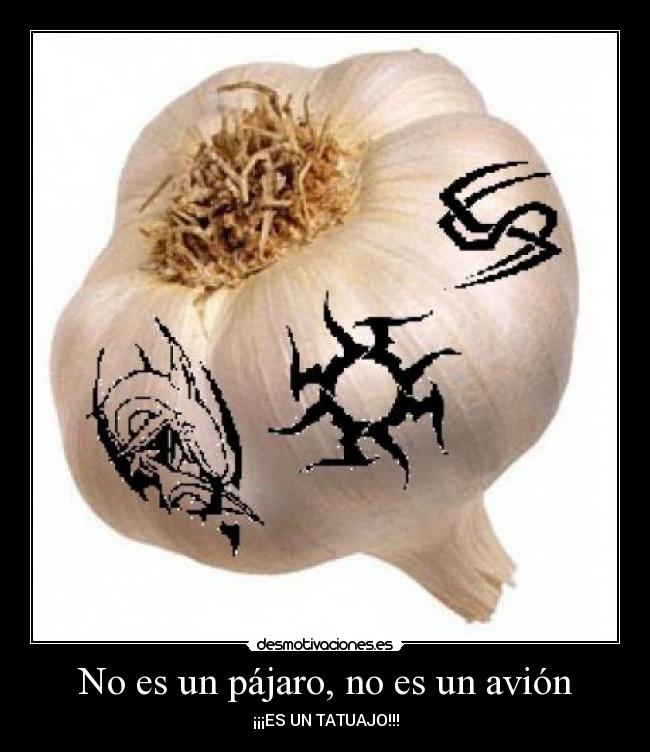 No es un pájaro, no es un avión -