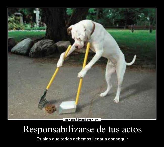 Responsabilizarse de tus actos - Es algo que todos debemos llegar a conseguir