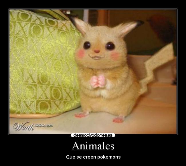 Animales - Que se creen pokemons