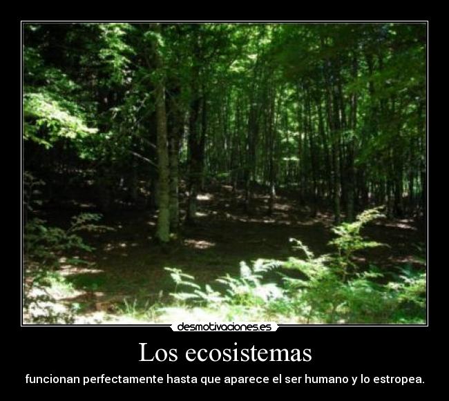 Los ecosistemas - 