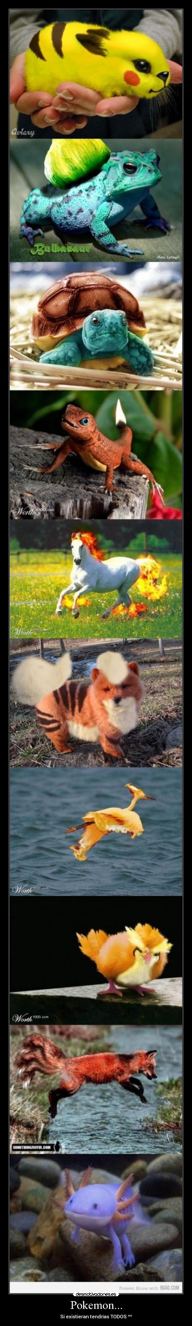 Pokemon... - Si existieran tendrías TODOS ^^