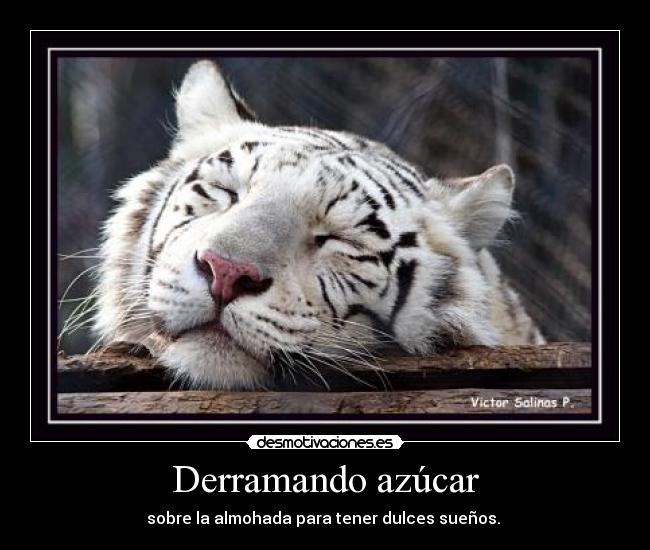 Derramando azúcar -