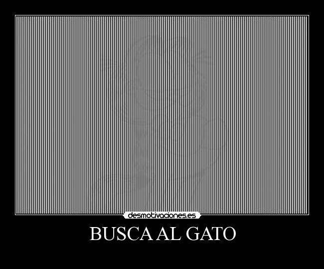 BUSCA AL GATO -