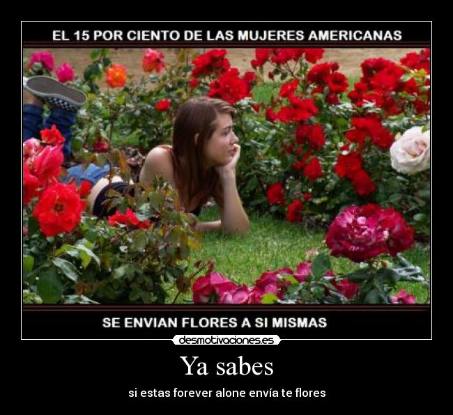 Ya sabes - si estas forever alone envía te flores