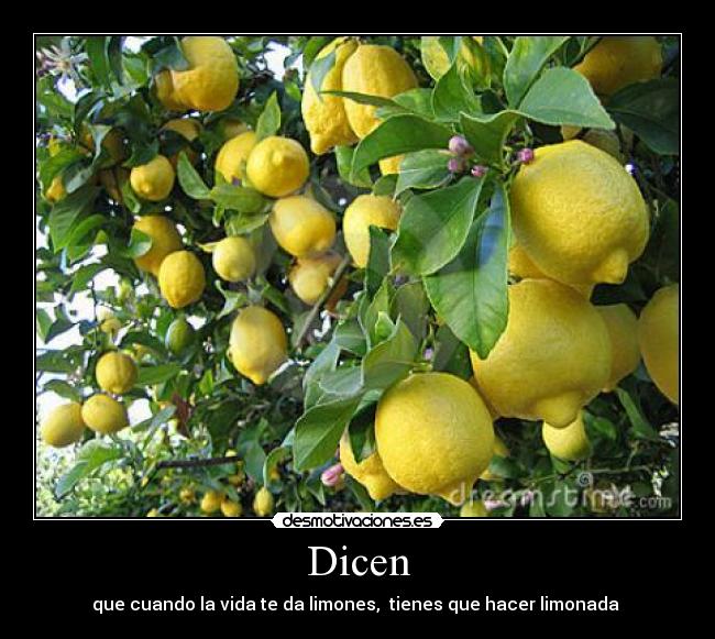 Dicen - 