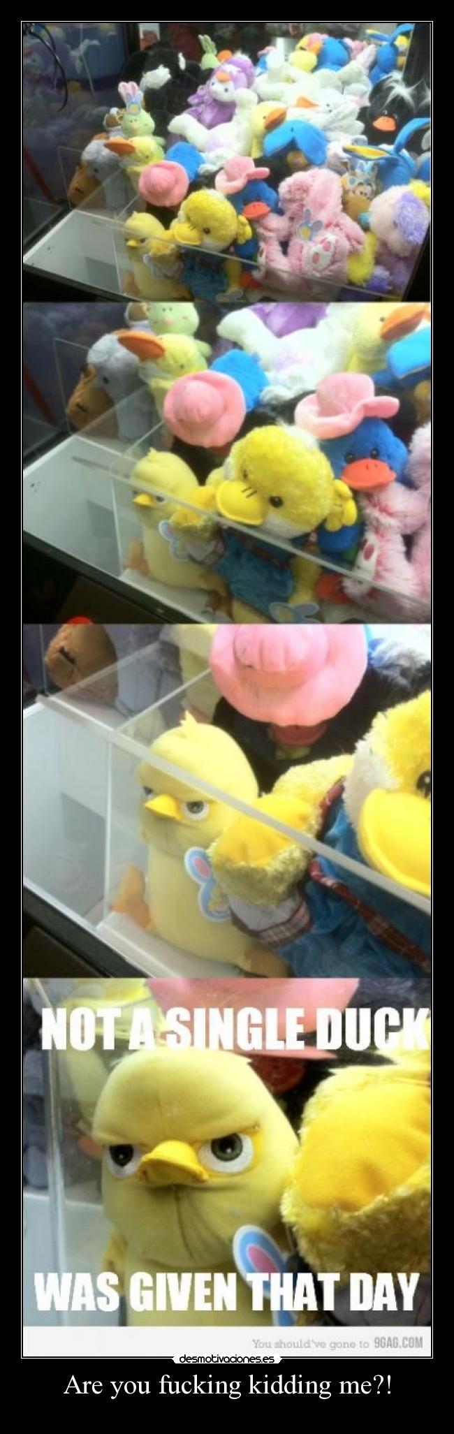 Are you fucking kidding me?! - 