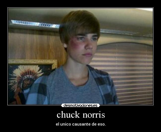 chuck norris - 