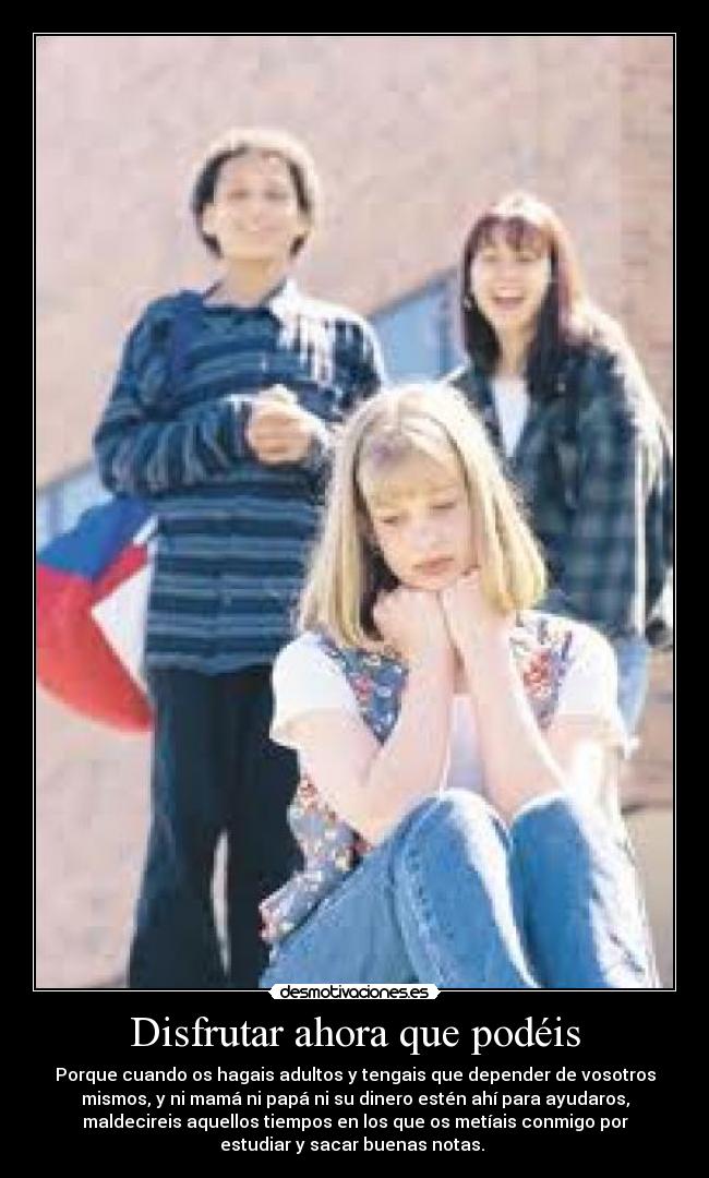 carteles disfrutar ahora desmotivaciones