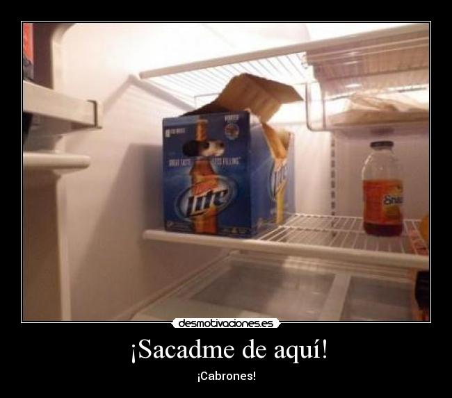 ¡Sacadme de aquí! -