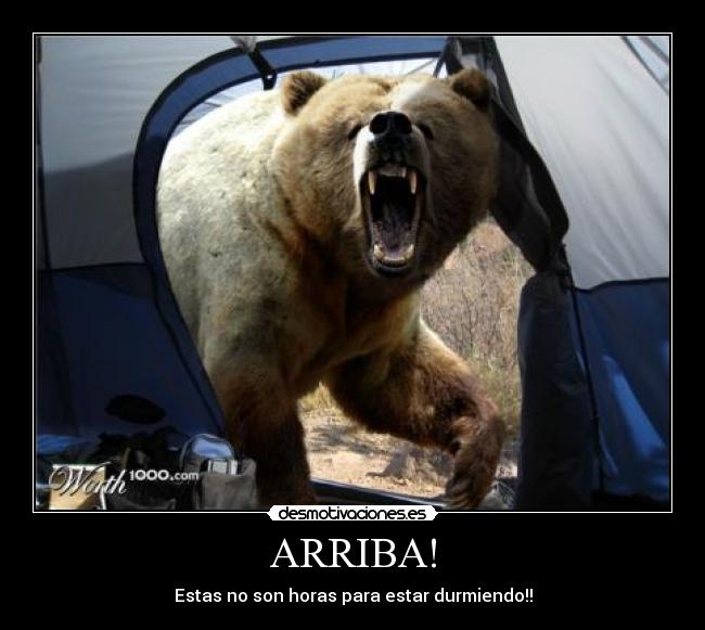 ARRIBA! - Estas no son horas para estar durmiendo!!