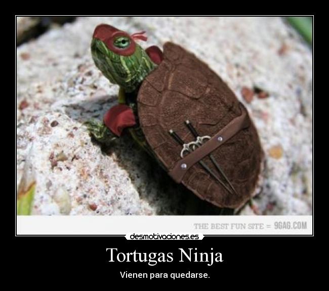 Tortugas Ninja - 