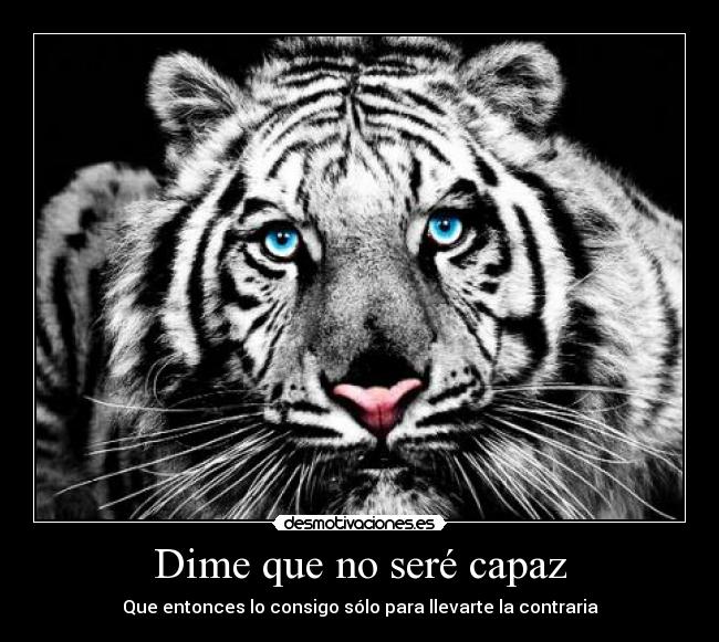 Dime que no seré capaz - Que entonces lo consigo sólo para llevarte la contraria