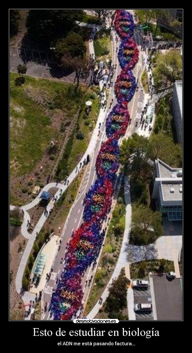 Esto de estudiar en biología - el ADN me está pasando factura...