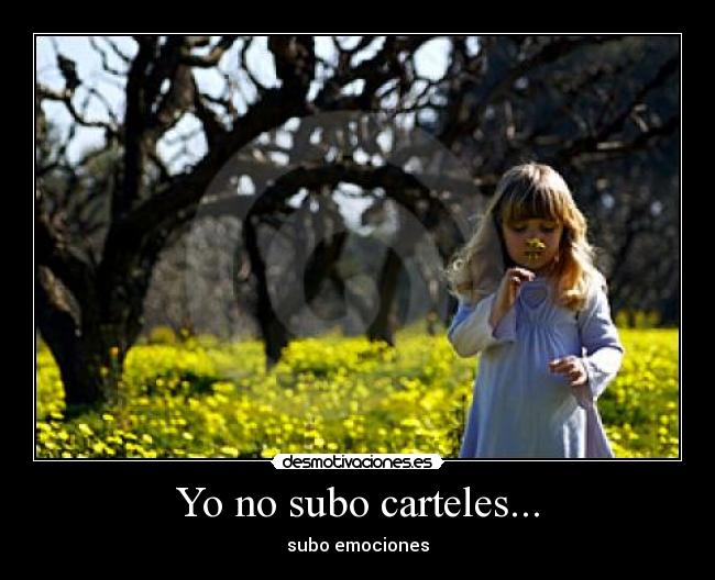 Yo no subo carteles... - 