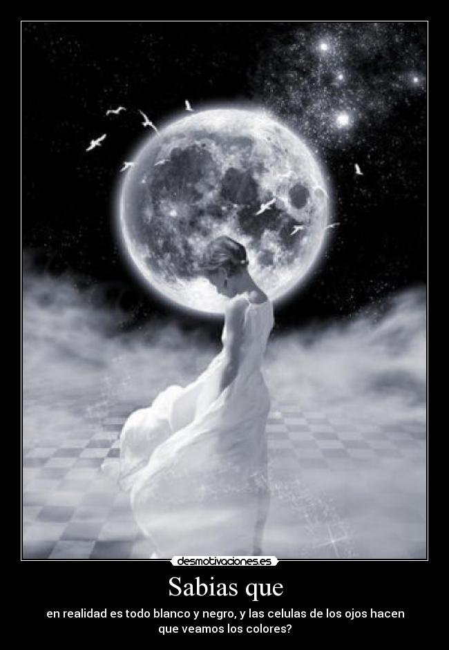 carteles sabias que desmotivaciones