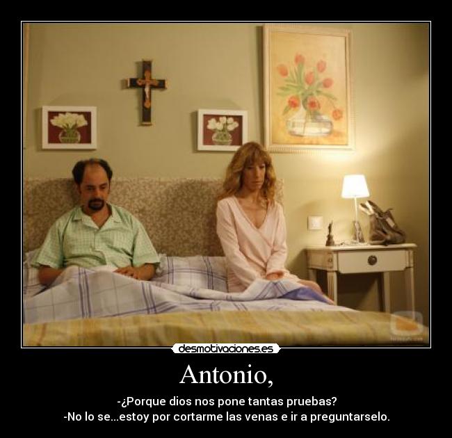 Antonio, - -¿Porque dios nos pone tantas pruebas?
-No lo se...estoy por cortarme las venas e ir a preguntarselo.
