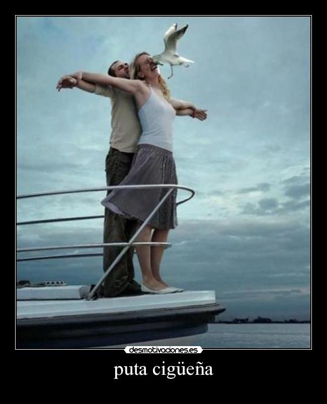 puta cigüeña - 