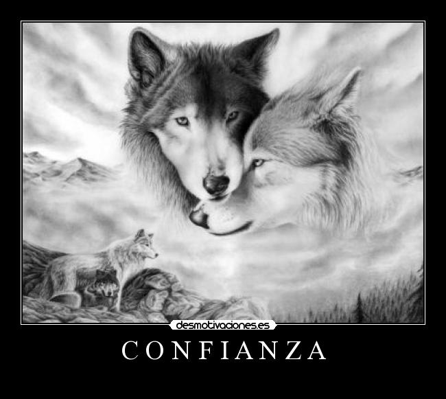 C O N F I A N Z A - 