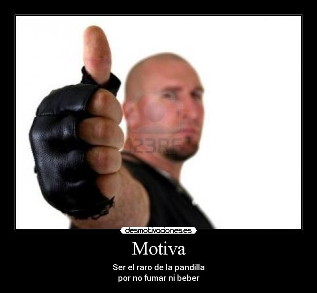 Motiva - 