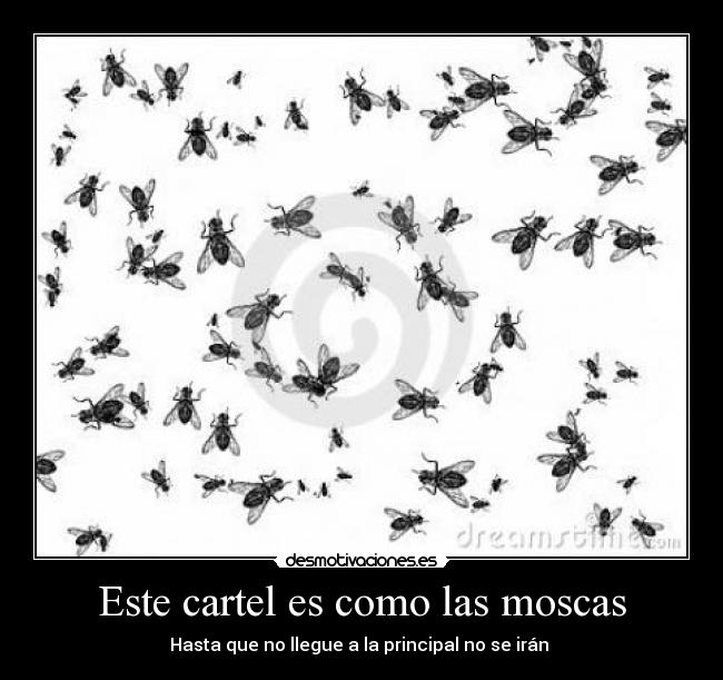 Este cartel es como las moscas -