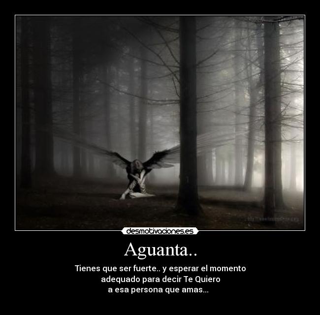 carteles cristabel desmotivaciones